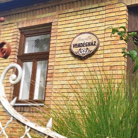 Henrietta Vendeghaz Apartment Domoszlo ภายนอก รูปภาพ