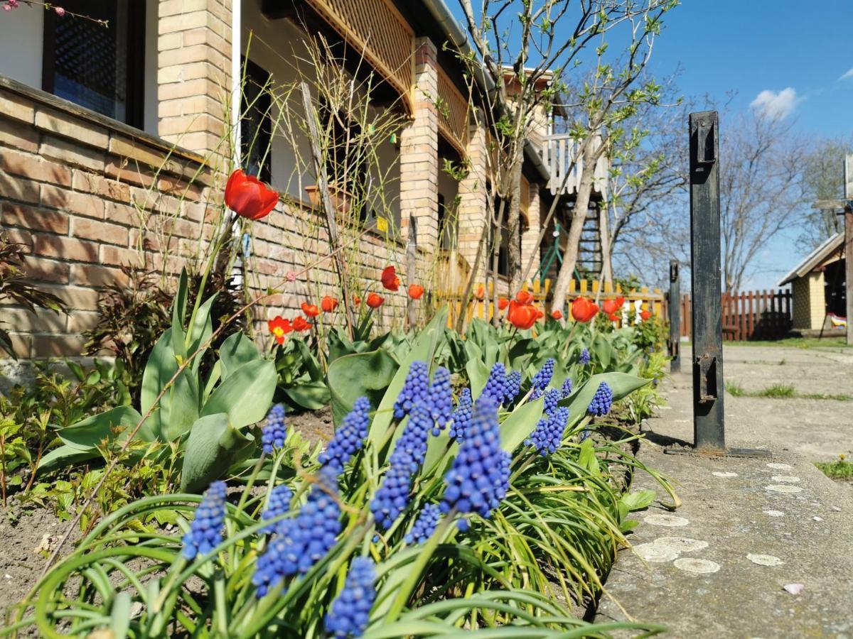 Henrietta Vendeghaz Apartment Domoszlo ภายนอก รูปภาพ